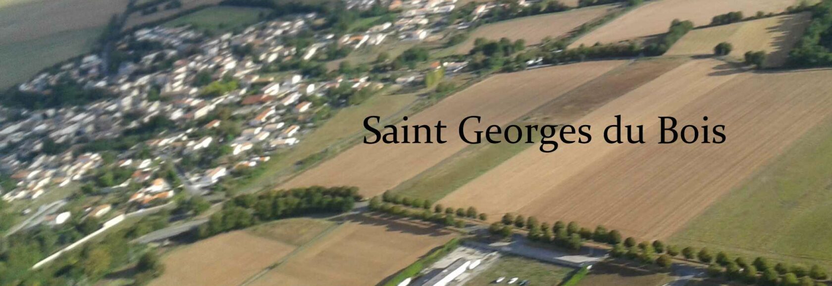 SGDB